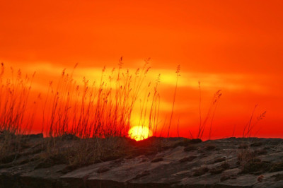 Amazing Sunrise Habits That Will Change Your World