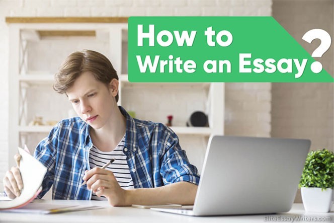 Thesis Proofreading Services