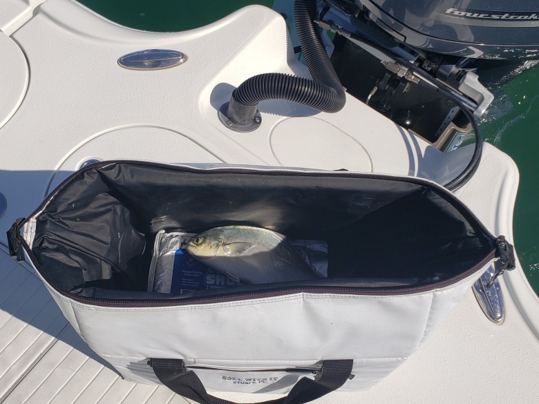 Fish Bags - Insulated Fish Bag
