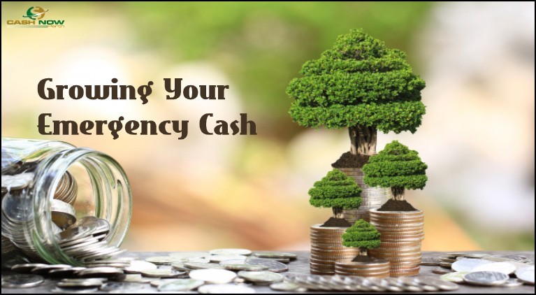 Growing Your Emergency Cash