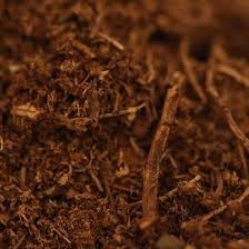 Sphagnum Peat Moss