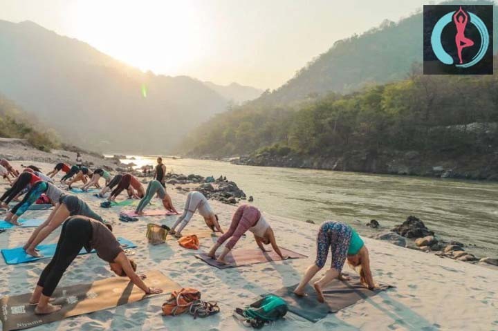 Yoga Teacher Training TTC in Rishikesh