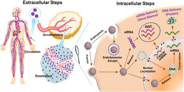 Cancer Gene Therapy Market
