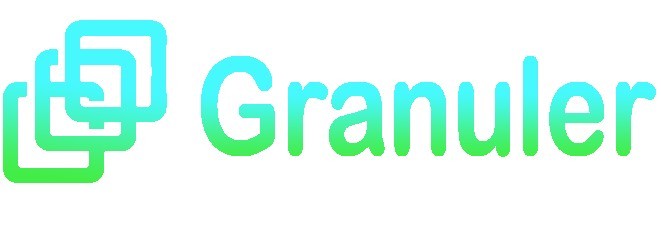 Granuler CIO consulting logo