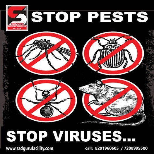 Pest Control Services in Mumbai – Sadguru Pest Control