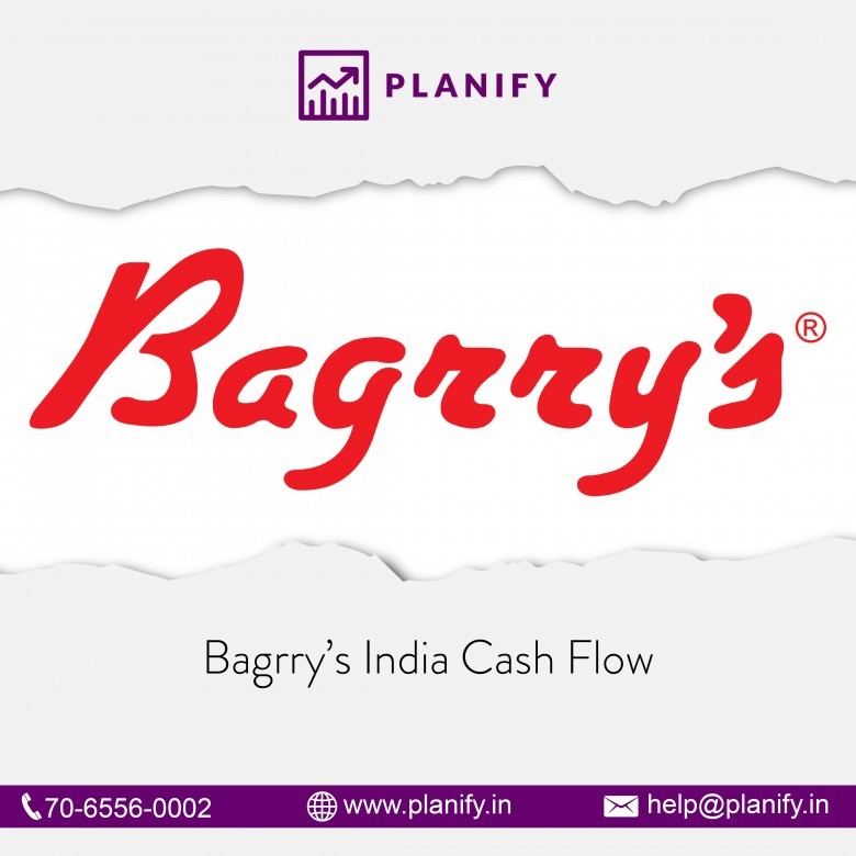 Bagrrys India Cash Flow Statements