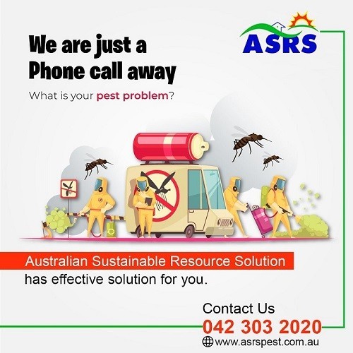 Best Pest Control in Sydney