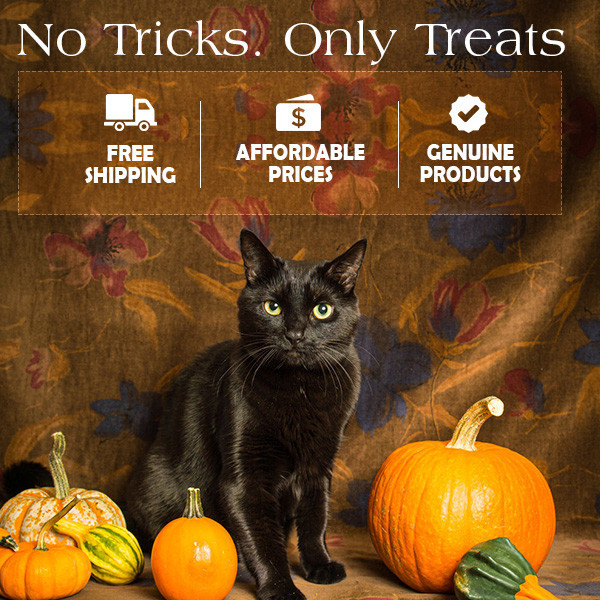 PetLoversAU- eBay's best store, is offering Halloween treats for your pets.