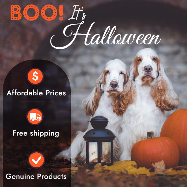 Bargainpetproducts has Halloween deals and discounts on all pet products.