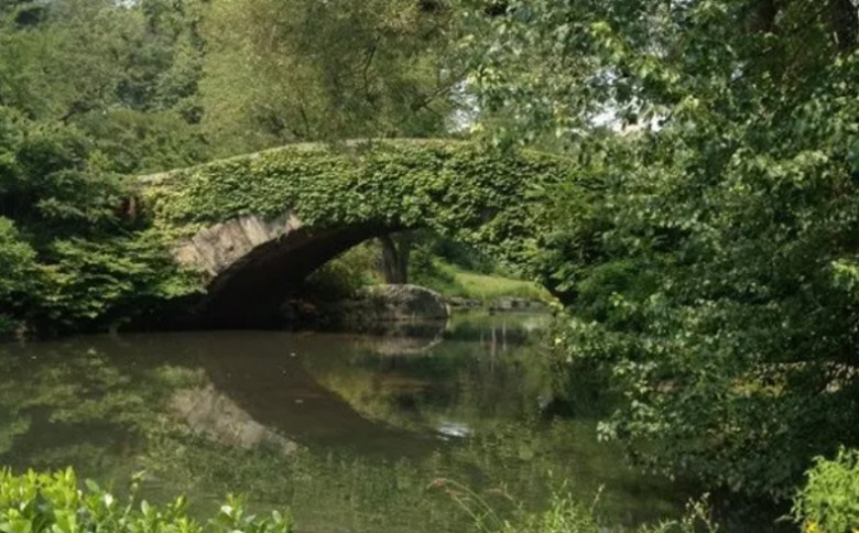 Funerals Newcastle NSW