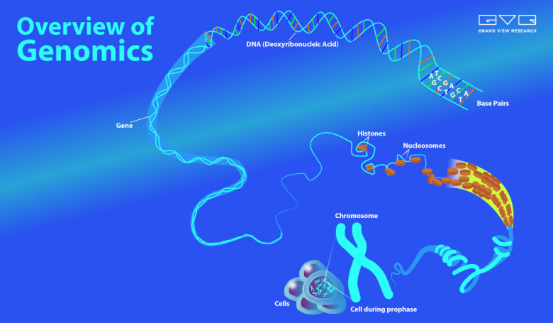 genomics