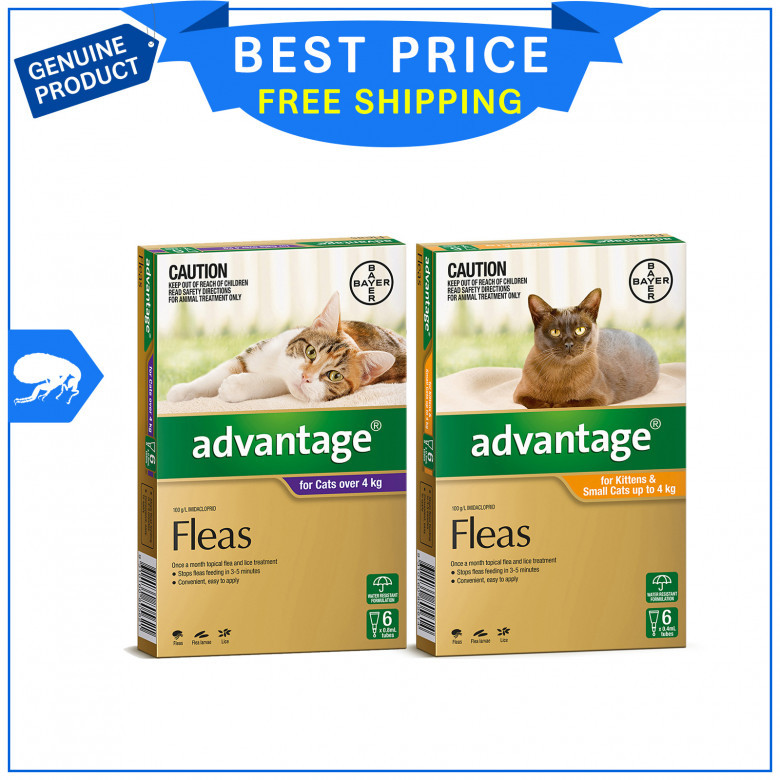 ADVANTAGE-for-Cats-6-PipettesCat-Flea-Prevention.jpg