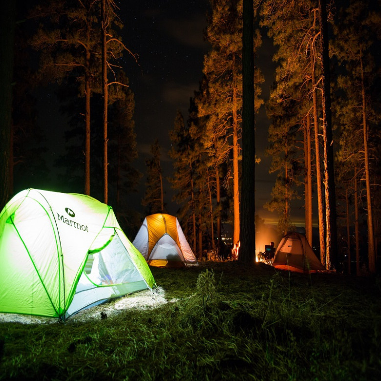 Kasauli Wilderness Camp - Explore Nature