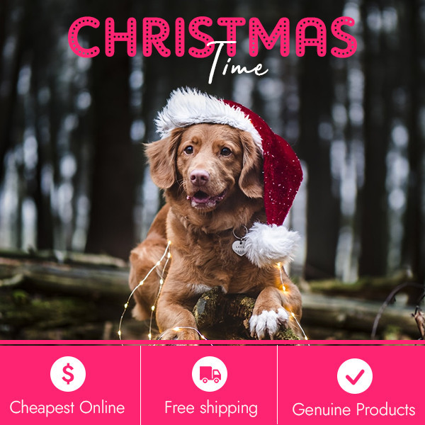 Get-exciting-Christmas-discounts-on-BargaiPetProducts-for-all-pet-supplies.jpg