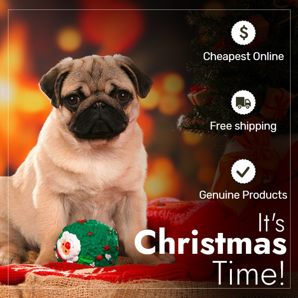 BudgetPetSupplies-is-offering-exciting-Christmas-discounts-for-your-pets.jpg