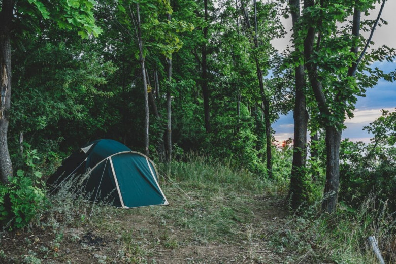 Kasauli Wilderness Camp - Picture Gallery