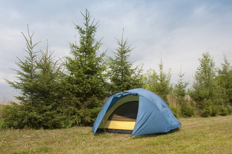 Kasauli Wilderness Camp - All Girls Group