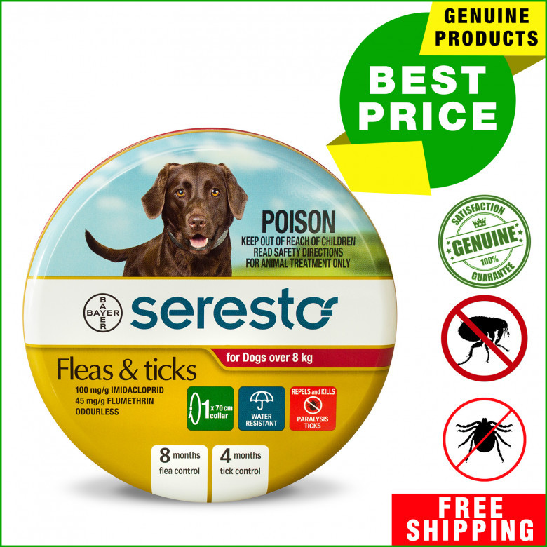 SERESTO-Collar-RED-for-Dogs-Over-8-Kg-Tick-and-Flea-Control.jpg