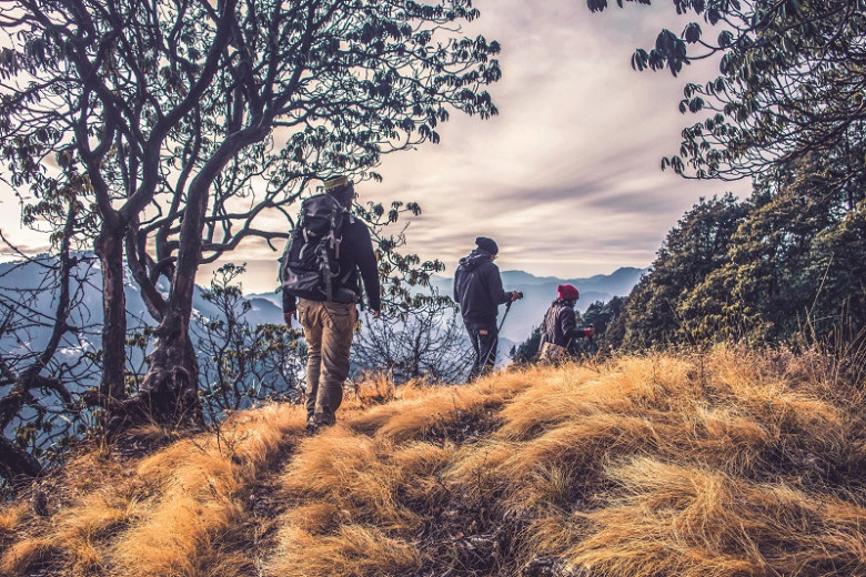 Kasauli Wilderness Camp || Camp In Kasauli