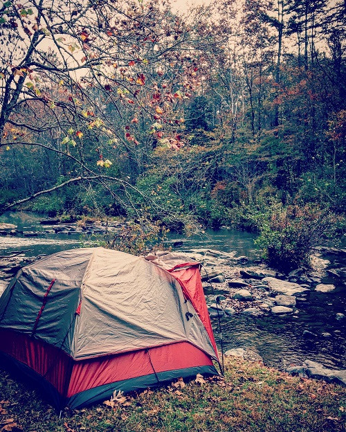 Kasauli Wilderness Camps || About WOWz