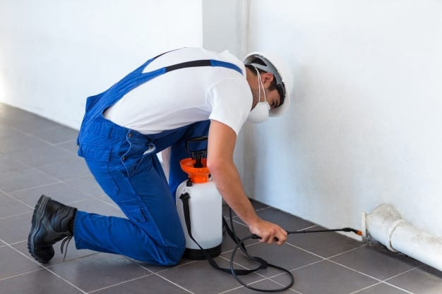 Pest Control Kellyville