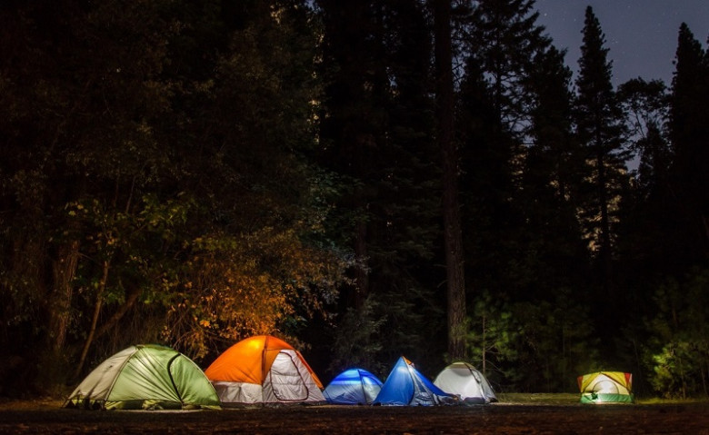 Kasauli Wilderness Camps || Camps In Kasauli
