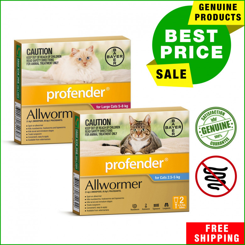Maintain-the-health-of-your-cats-with-Profender-Allwormer.jpg