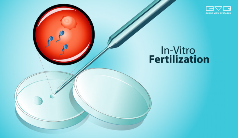 In Vitro Fertilization Market