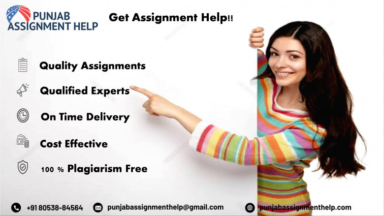 punjab assignment help