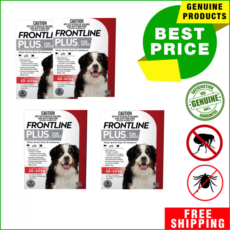 Frontline-Plus-for-40-To-60-Kg-Dogs-for-Flea-and-Tick-Treatment.jpg