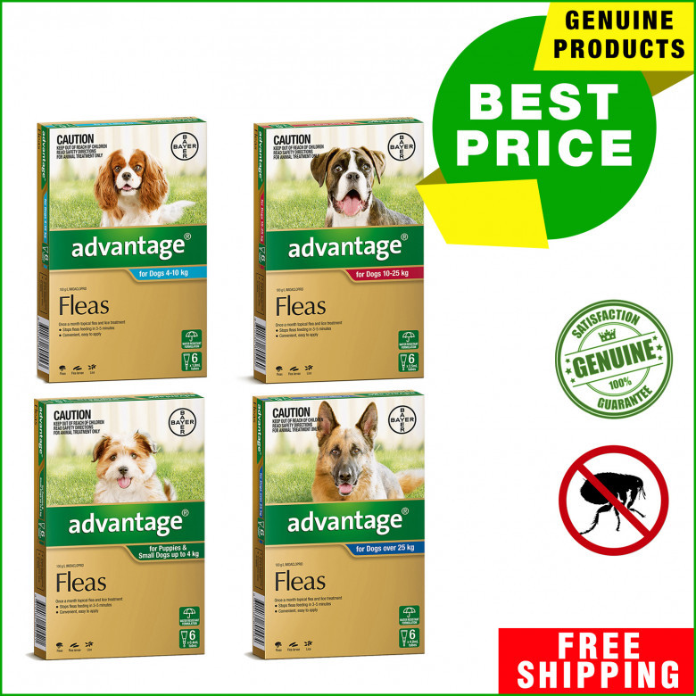 ADVANTAGE-for-Dogs-6-Pipettes-Flea-Prevention-for-Dogs.jpg