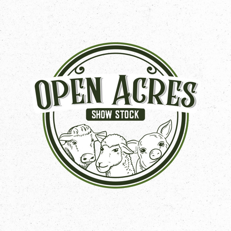 Vintage Logo Design Inspiration for Graphic Designers