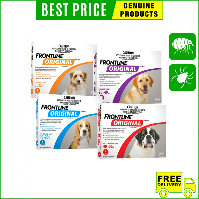 Frontline-Original-for-dogs-is-an-effective-flea-and-tick-treatment.jpg