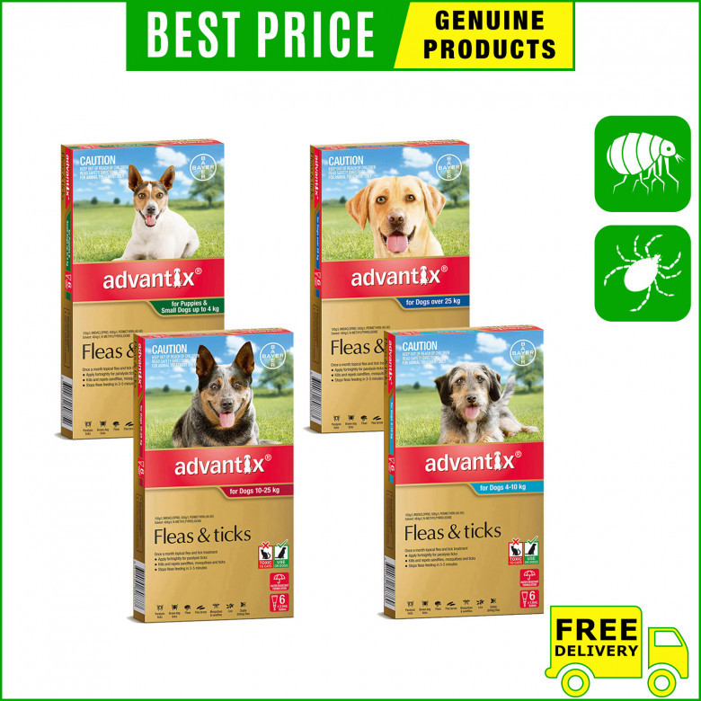 ADVANTIX-for-Dogs-6-Pipettes-Flea-and-Tick-Treatment.jpg