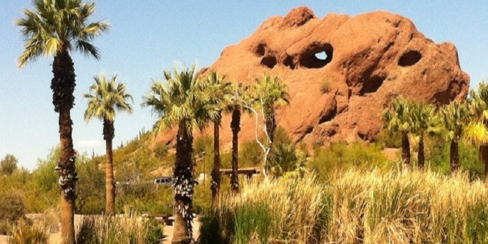 Scenic Views in Phoenix