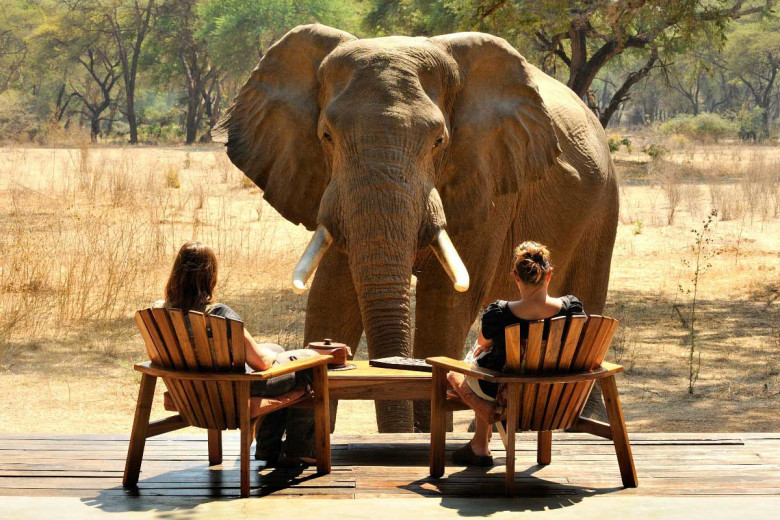 LUXURY SAFARI AFRICA DESTINATIONS