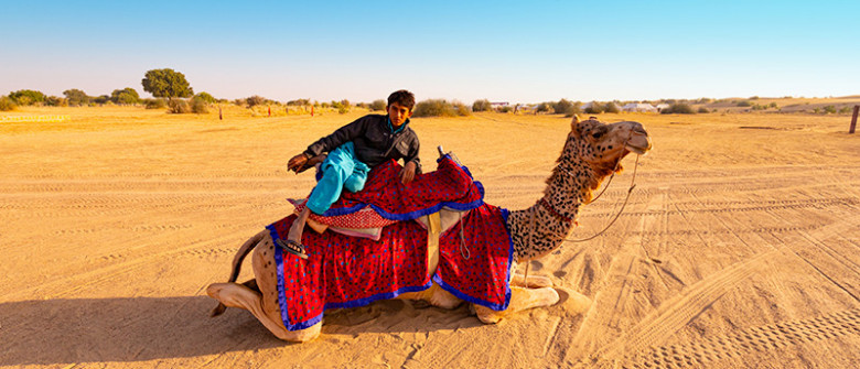 Rajasthan Tour Packages