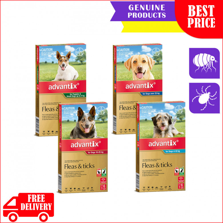 ADVANTIX-for-Dogs-6-Pipettes-Flea-and-Tick-Prevention.jpg