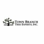 townbranchtreeexpert