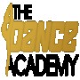 thedanceacademy