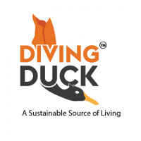 divingduck