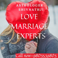 astrologershiv.nath12@gmail.com