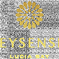 meysenses