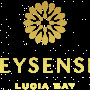meysenses