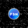 financialsanitynow