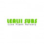 Lealiisubsnursery