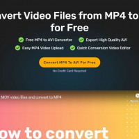 mp4-to-avi-converter