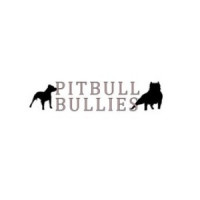 pitbullbullies