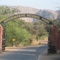 ranthambore