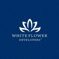whiteflower01
